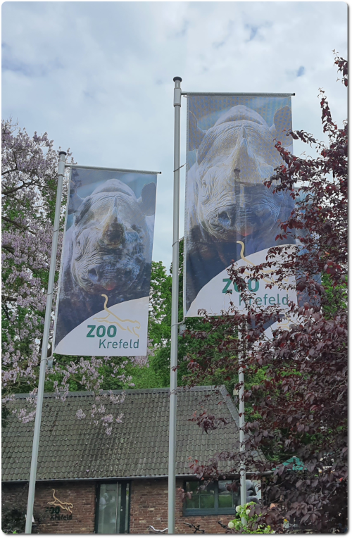 Glasreinigung Putzen Kaarst